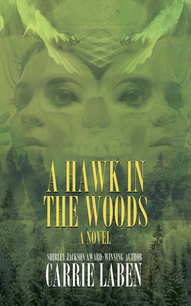 A Hawk in the Woods by Carrie Laben